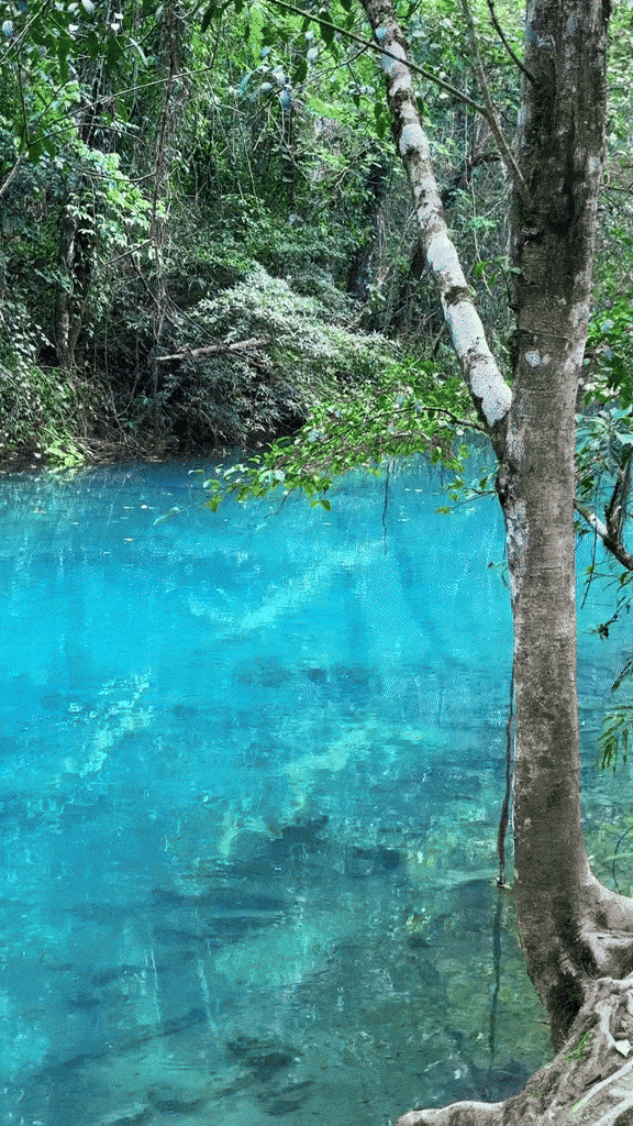 Con suối nước xanh như ngọc, nhìn thấy tận đáy khiến nhiều người trầm trồ: Thì ra màu nước là có lý do- Ảnh 1.