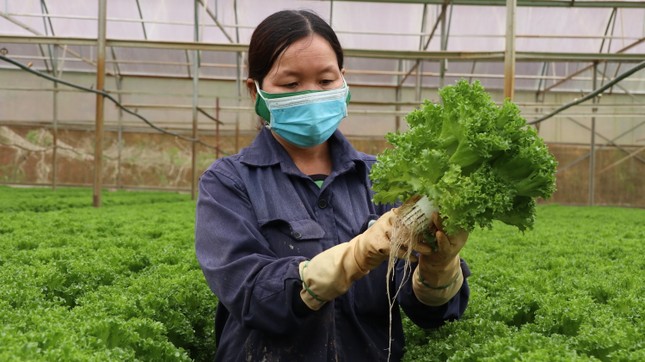 Sáp nhập 3 tỉnh Lâm Đồng - Bình Thuận - Đắk Nông là cơ hội vàng- Ảnh 2. Sáp nhập 3 tỉnh Lâm Đồng - Bình Thuận - Đắk Nông là cơ hội vàng- Ảnh 2.
