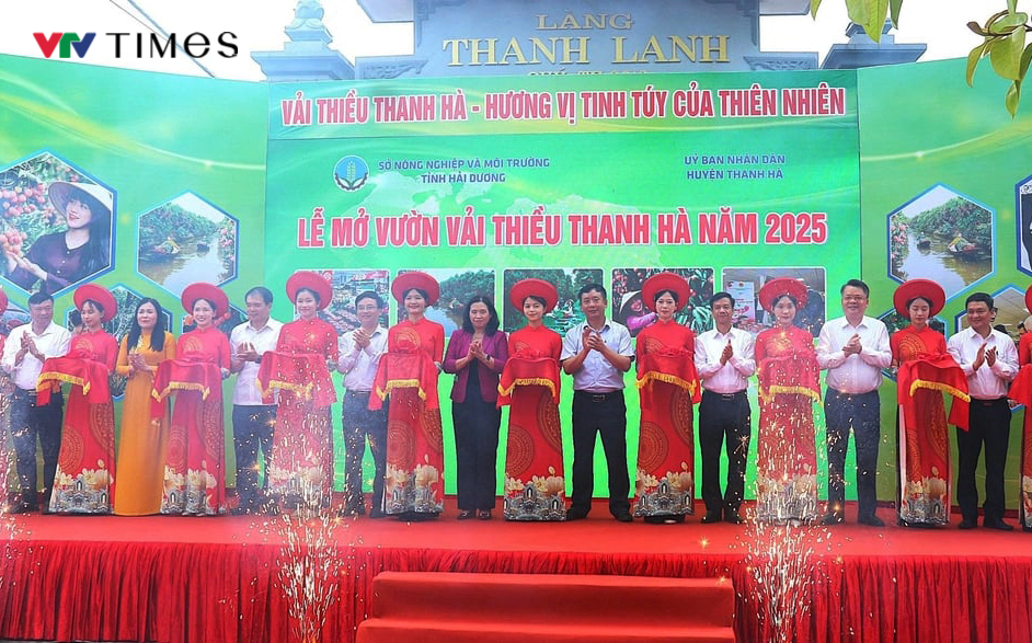 Hải Dương mở cửa vườn, xuất khẩu lô vải đầu tiên năm 2025- Ảnh 1. Hải Dương mở cửa vườn, xuất khẩu lô vải đầu tiên năm 2025- Ảnh 1.