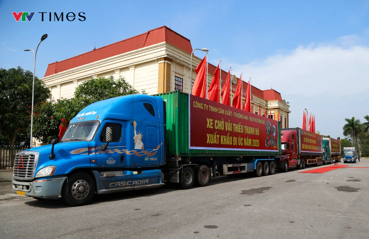 Hải Dương mở cửa vườn, xuất khẩu lô vải đầu tiên năm 2025- Ảnh 2. Hải Dương mở cửa vườn, xuất khẩu lô vải đầu tiên năm 2025- Ảnh 2.