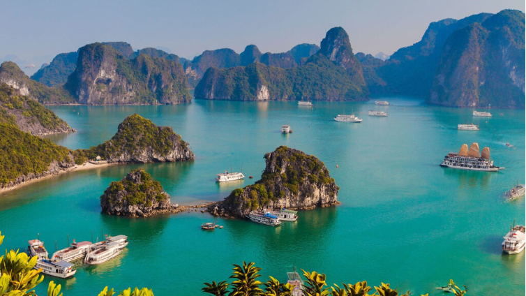 Tăng trưởng 1 tầng lớp ở VN thuộc hàng cao nhất châu Á, giai đoạn vàng của ngành có doanh thu 34 tỷ USD- Ảnh 2. Tăng trưởng 1 tầng lớp ở VN thuộc hàng cao nhất châu Á, giai đoạn vàng của ngành có doanh thu 34 tỷ USD- Ảnh 2.