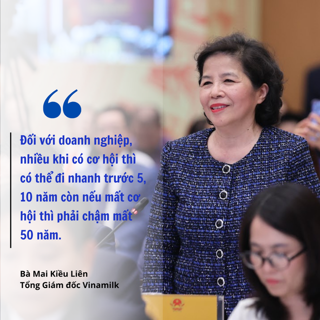 Bà Mai Kiều Liên: Với doanh nghiệp, mất cơ hội là chậm cả 50 năm- Ảnh 1.