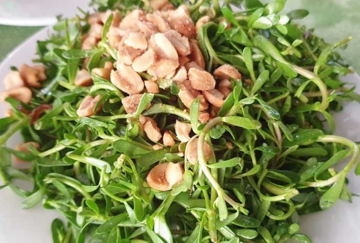 Người Việt biến lá rau dại thành "lá vàng", hái đếm tiền không xuể- Ảnh 3. Người Việt biến lá rau dại thành "lá vàng", hái đếm tiền không xuể- Ảnh 3.