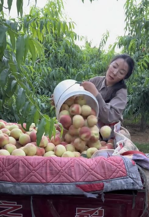 ‘Tây Thi bán đào’ xứ tỷ dân: Nhan sắc xinh đẹp như minh tinh, nhưng câu chuyện ‘một tay gánh vác cả gia đình’ phía sau còn nức lòng hơn nữa!- Ảnh 3. ‘Tây Thi bán đào’ xứ tỷ dân: Nhan sắc xinh đẹp như minh tinh, nhưng câu chuyện ‘một tay gánh vác cả gia đình’ phía sau còn nức lòng hơn nữa!- Ảnh 3.