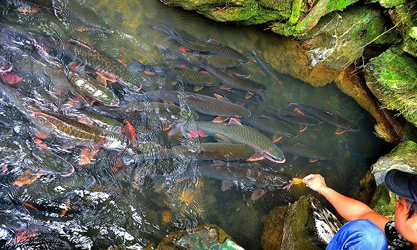 1 địa điểm được ví là “thủ phủ du lịch biển miền Bắc”: Đón gần 1 triệu lượt khách trong dịp 30/4-1/5 năm nay, xe cộ đổ về kín đường- Ảnh 5. 1 địa điểm được ví là “thủ phủ du lịch biển miền Bắc”: Đón gần 1 triệu lượt khách trong dịp 30/4-1/5 năm nay, xe cộ đổ về kín đường- Ảnh 5.