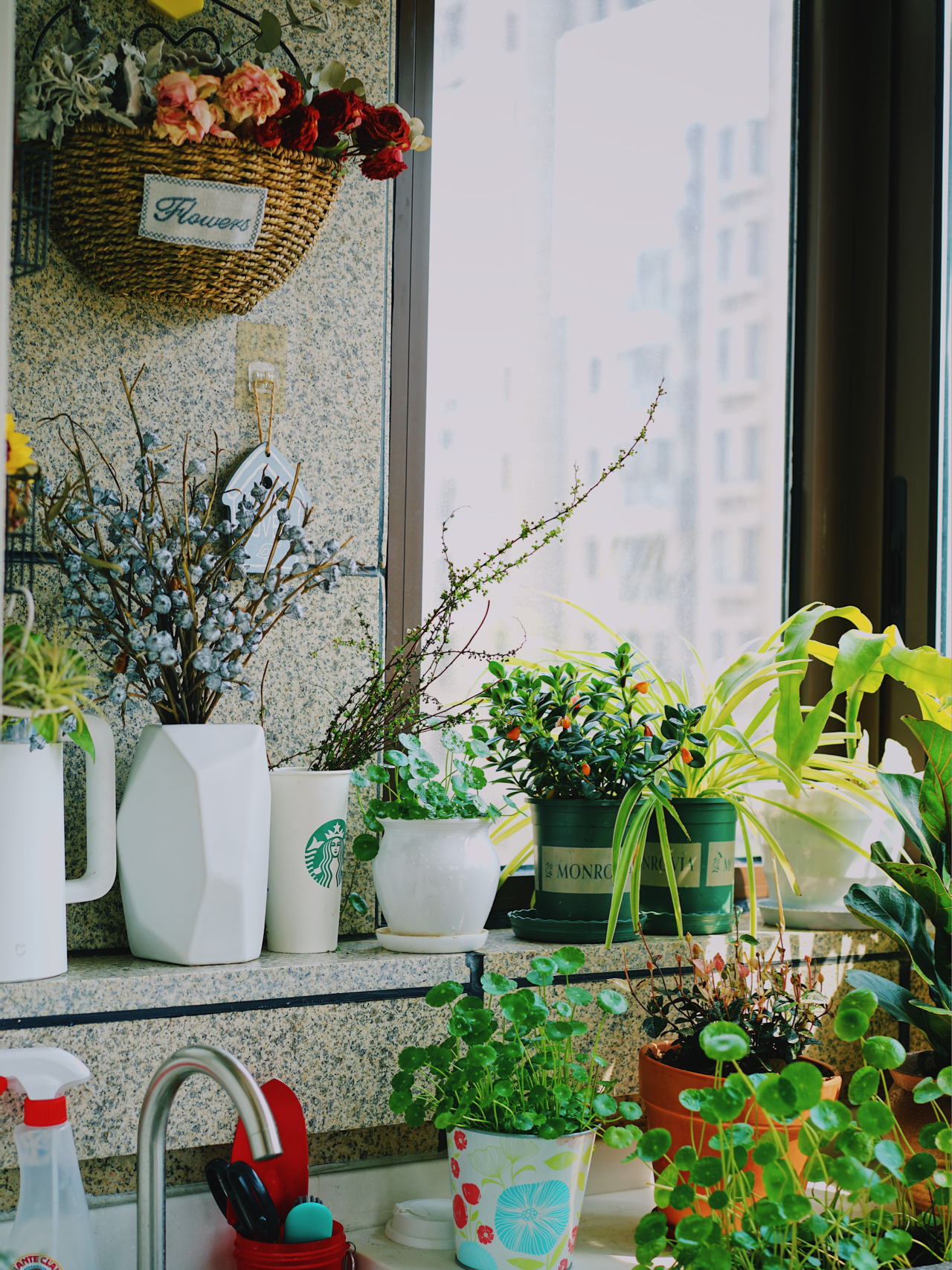 Từ ban công lụp xụp 3m² đến khu vườn xanh mát mắt: Biến hóa tuyệt vời khiến ai cũng ngỡ ngàng và ao ước- Ảnh 5.