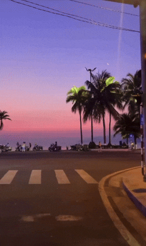 Cảnh tượng gây sốc ở vùng biển đẹp nhất Việt Nam, dân bản địa thốt lên “20 năm sống ở đây chưa từng thấy”- Ảnh 4. Cảnh tượng gây sốc ở vùng biển đẹp nhất Việt Nam, dân bản địa thốt lên “20 năm sống ở đây chưa từng thấy”- Ảnh 4.