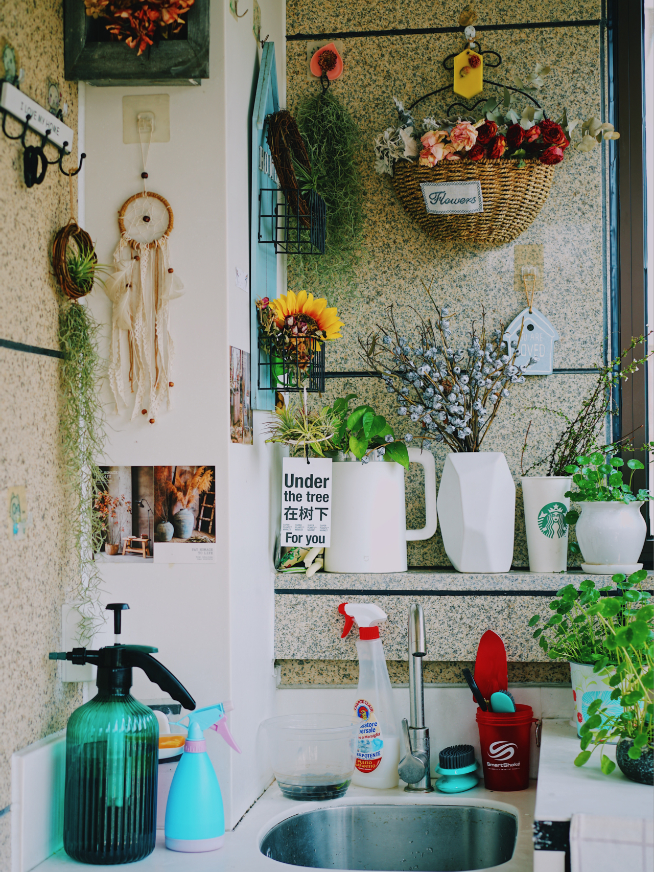 Từ ban công lụp xụp 3m² đến khu vườn xanh mát mắt: Biến hóa tuyệt vời khiến ai cũng ngỡ ngàng và ao ước- Ảnh 3.