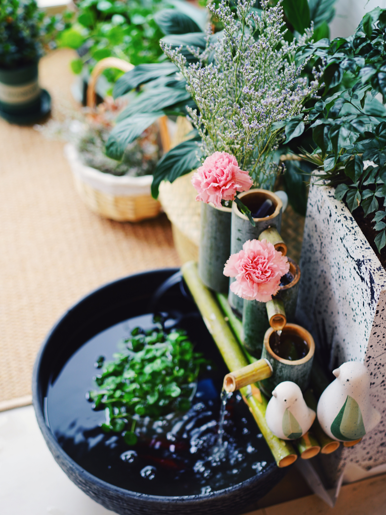 Từ ban công lụp xụp 3m² đến khu vườn xanh mát mắt: Biến hóa tuyệt vời khiến ai cũng ngỡ ngàng và ao ước- Ảnh 4.