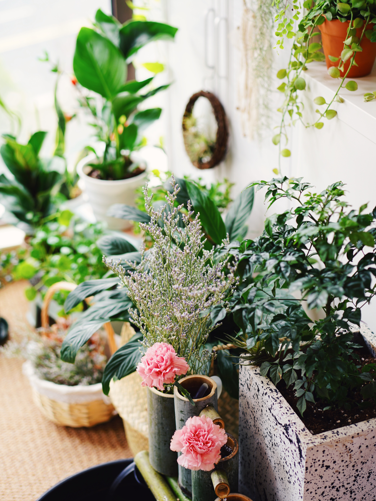 Từ ban công lụp xụp 3m² đến khu vườn xanh mát mắt: Biến hóa tuyệt vời khiến ai cũng ngỡ ngàng và ao ước- Ảnh 7.