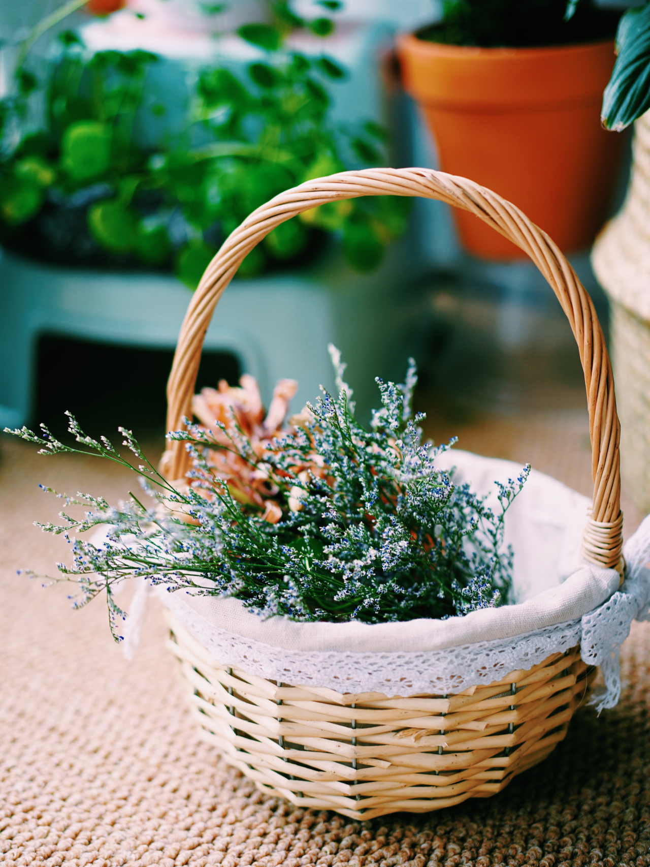 Từ ban công lụp xụp 3m² đến khu vườn xanh mát mắt: Biến hóa tuyệt vời khiến ai cũng ngỡ ngàng và ao ước- Ảnh 9.