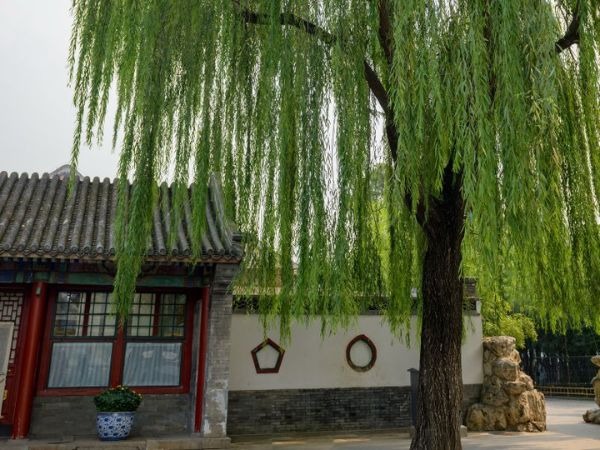 Vì sao ông bà dặn: Vì sao ông bà dặn: