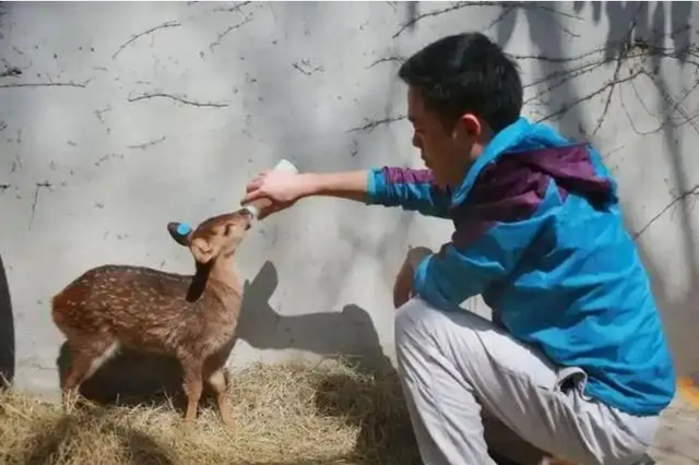 Đem con non 3 ngày tuổi về nuôi, chuyên gia hân hoan khi tìm thấy loài "tuyệt chủng" gần 30 năm- Ảnh 2. Đem con non 3 ngày tuổi về nuôi, chuyên gia hân hoan khi tìm thấy loài "tuyệt chủng" gần 30 năm- Ảnh 2.