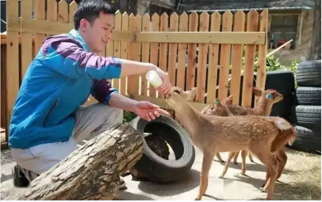 Đem con non 3 ngày tuổi về nuôi, chuyên gia hân hoan khi tìm thấy loài "tuyệt chủng" gần 30 năm- Ảnh 5. Đem con non 3 ngày tuổi về nuôi, chuyên gia hân hoan khi tìm thấy loài "tuyệt chủng" gần 30 năm- Ảnh 5.