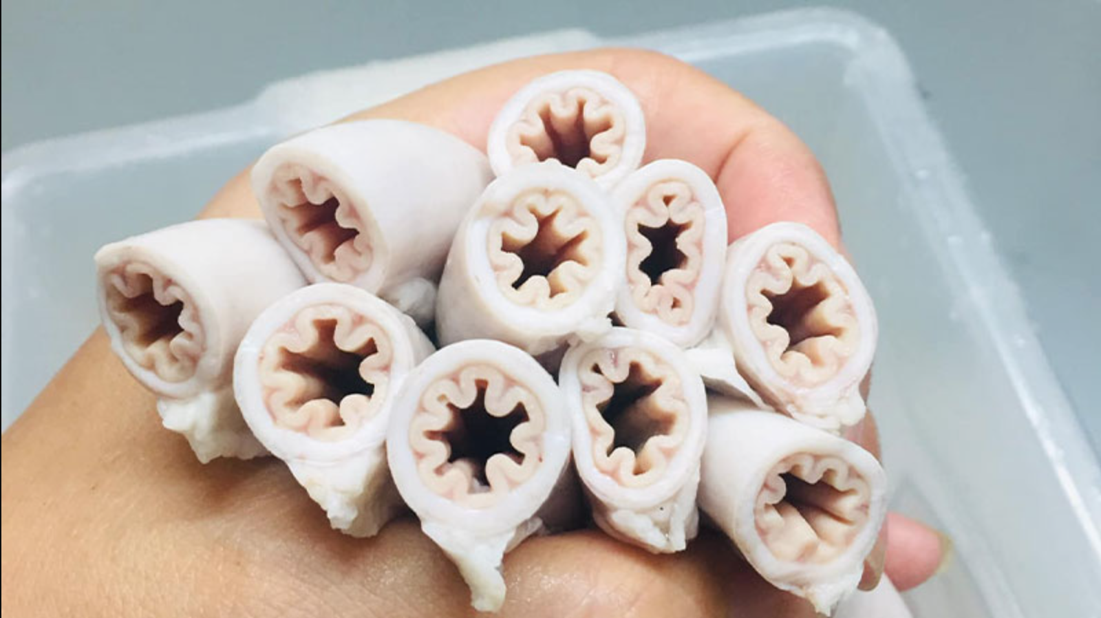 Hàng loạt thực khách từng ăn lòng se điếu bỗng hoang mang, khi phát hiện sự thật đằng sau món đặc sản- Ảnh 1. Hàng loạt thực khách từng ăn lòng se điếu bỗng hoang mang, khi phát hiện sự thật đằng sau món đặc sản- Ảnh 1.