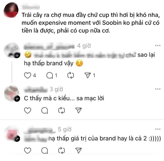 Fan Sơn Tùng M-TP và Soobin “khẩu chiến” căng đét vì chiếc túi LV 300 triệu đựng măng cụt- Ảnh 9. Fan Sơn Tùng M-TP và Soobin “khẩu chiến” căng đét vì chiếc túi LV 300 triệu đựng măng cụt- Ảnh 9.