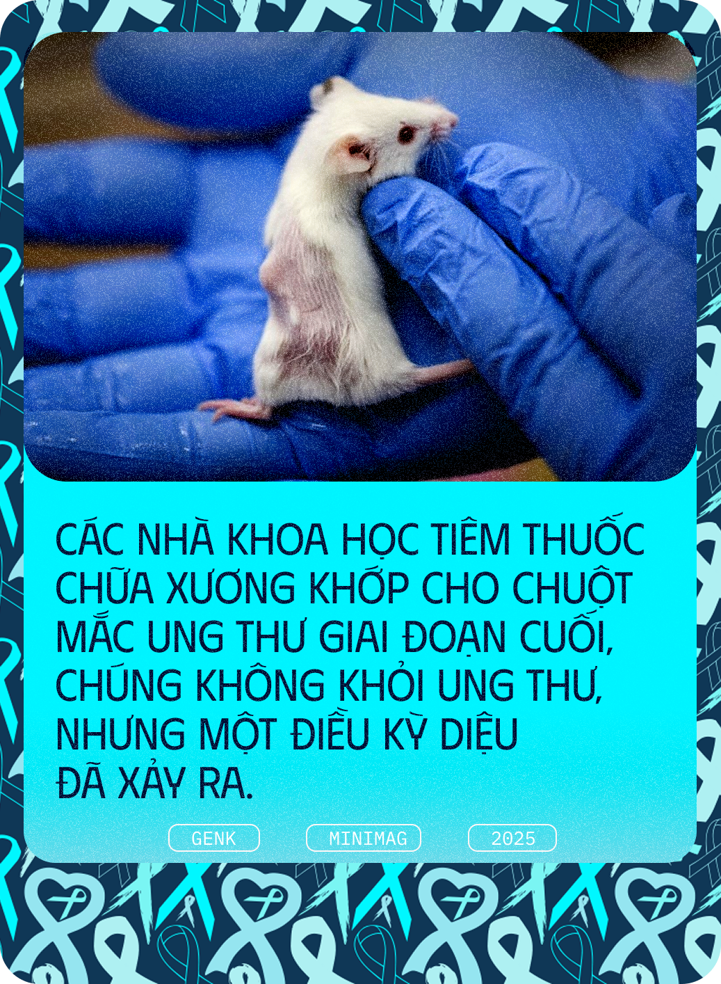 Các nhà khoa học tiêm thuốc chữa xương khớp cho chuột mắc ung thư giai đoạn cuối, chúng không khỏi ung thư, nhưng một điều kỳ diệu đã xảy ra- Ảnh 2. Các nhà khoa học tiêm thuốc chữa xương khớp cho chuột mắc ung thư giai đoạn cuối, chúng không khỏi ung thư, nhưng một điều kỳ diệu đã xảy ra- Ảnh 2.