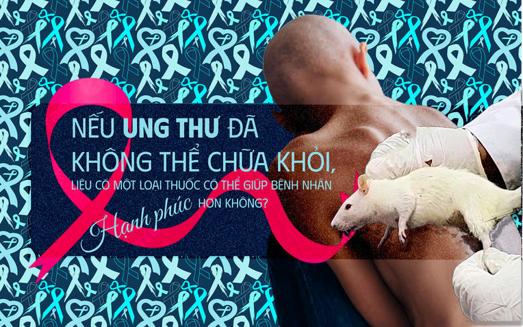 Các nhà khoa học tiêm thuốc chữa xương khớp cho chuột mắc ung thư giai đoạn cuối, chúng không khỏi ung thư, nhưng một điều kỳ diệu đã xảy ra- Ảnh 1. Các nhà khoa học tiêm thuốc chữa xương khớp cho chuột mắc ung thư giai đoạn cuối, chúng không khỏi ung thư, nhưng một điều kỳ diệu đã xảy ra- Ảnh 1.