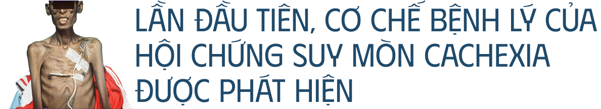 Các nhà khoa học tiêm thuốc chữa xương khớp cho chuột mắc ung thư giai đoạn cuối, chúng không khỏi ung thư, nhưng một điều kỳ diệu đã xảy ra- Ảnh 6. Các nhà khoa học tiêm thuốc chữa xương khớp cho chuột mắc ung thư giai đoạn cuối, chúng không khỏi ung thư, nhưng một điều kỳ diệu đã xảy ra- Ảnh 6.