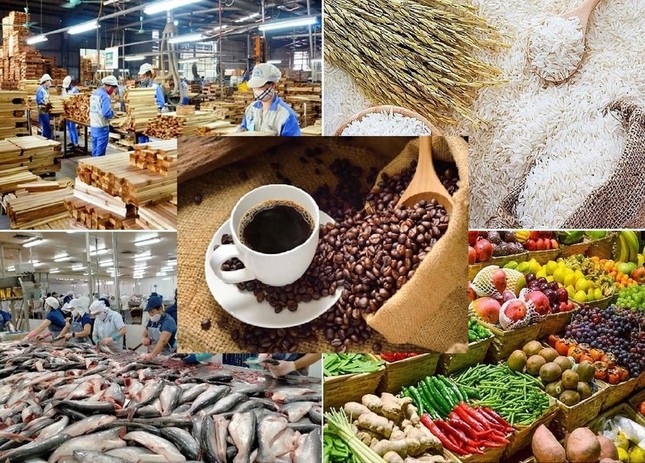 Lộ diện 'ngôi sao' sáng nhất của nông sản Việt Nam- Ảnh 1. Lộ diện 'ngôi sao' sáng nhất của nông sản Việt Nam- Ảnh 1.