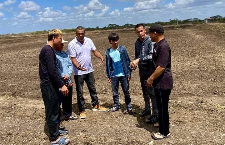 Chỉ sau hơn 120 ngày, loài vật tỷ USD của Việt Nam trở thành hiện tượng mới ở Cuba- Ảnh 1. Chỉ sau hơn 120 ngày, loài vật tỷ USD của Việt Nam trở thành hiện tượng mới ở Cuba- Ảnh 1.