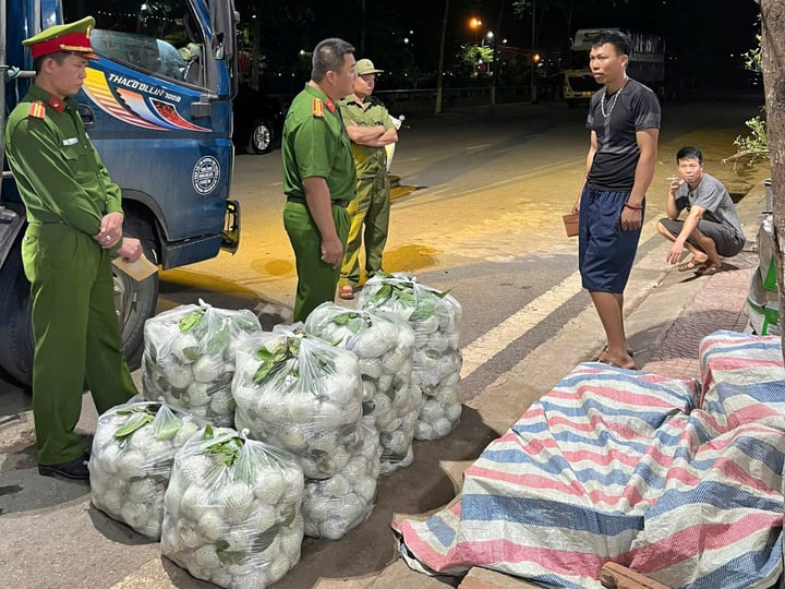 Phát hiện hơn 3 tạ rau củ nhiễm hoá chất độc hại ở Sơn La- Ảnh 1. Phát hiện hơn 3 tạ rau củ nhiễm hoá chất độc hại ở Sơn La- Ảnh 1.
