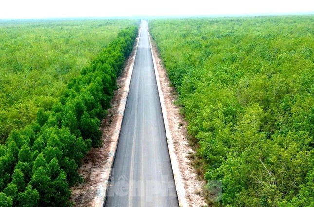 Dự án đường Hồ Chí Minh qua 4 tỉnh phía Nam vừa 'lỡ hẹn' về đích- Ảnh 2. Dự án đường Hồ Chí Minh qua 4 tỉnh phía Nam vừa 'lỡ hẹn' về đích- Ảnh 2.