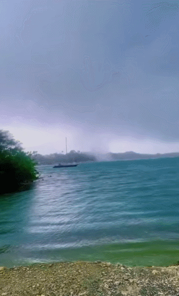 Cảnh tượng sốc: Cá bay đầy trời ở vùng biển Caribe, rốt cuộc chuyện gì đang xảy ra?- Ảnh 1. Cảnh tượng sốc: Cá bay đầy trời ở vùng biển Caribe, rốt cuộc chuyện gì đang xảy ra?- Ảnh 1.