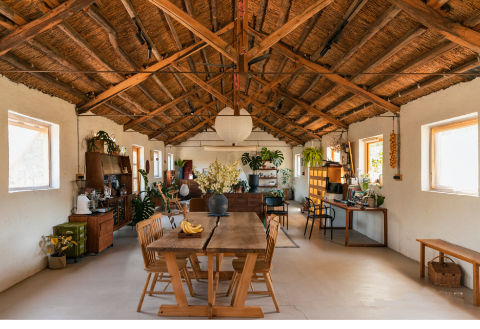 Người phụ nữ thuê 18.000 m2 đất để nghỉ hưu trên một hòn đảo, chi 180 triệu đồng/năm “mua” bình yên- Ảnh 3. Người phụ nữ thuê 18.000 m2 đất để nghỉ hưu trên một hòn đảo, chi 180 triệu đồng/năm “mua” bình yên- Ảnh 3.