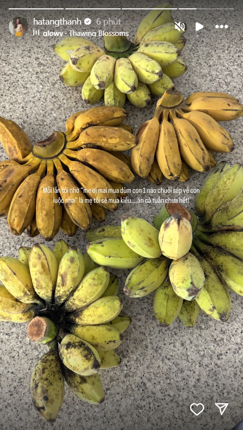 Nhà hào môn không thiếu sơn hào hải vị nhưng Hà Tăng Nhà hào môn không thiếu sơn hào hải vị nhưng Hà Tăng