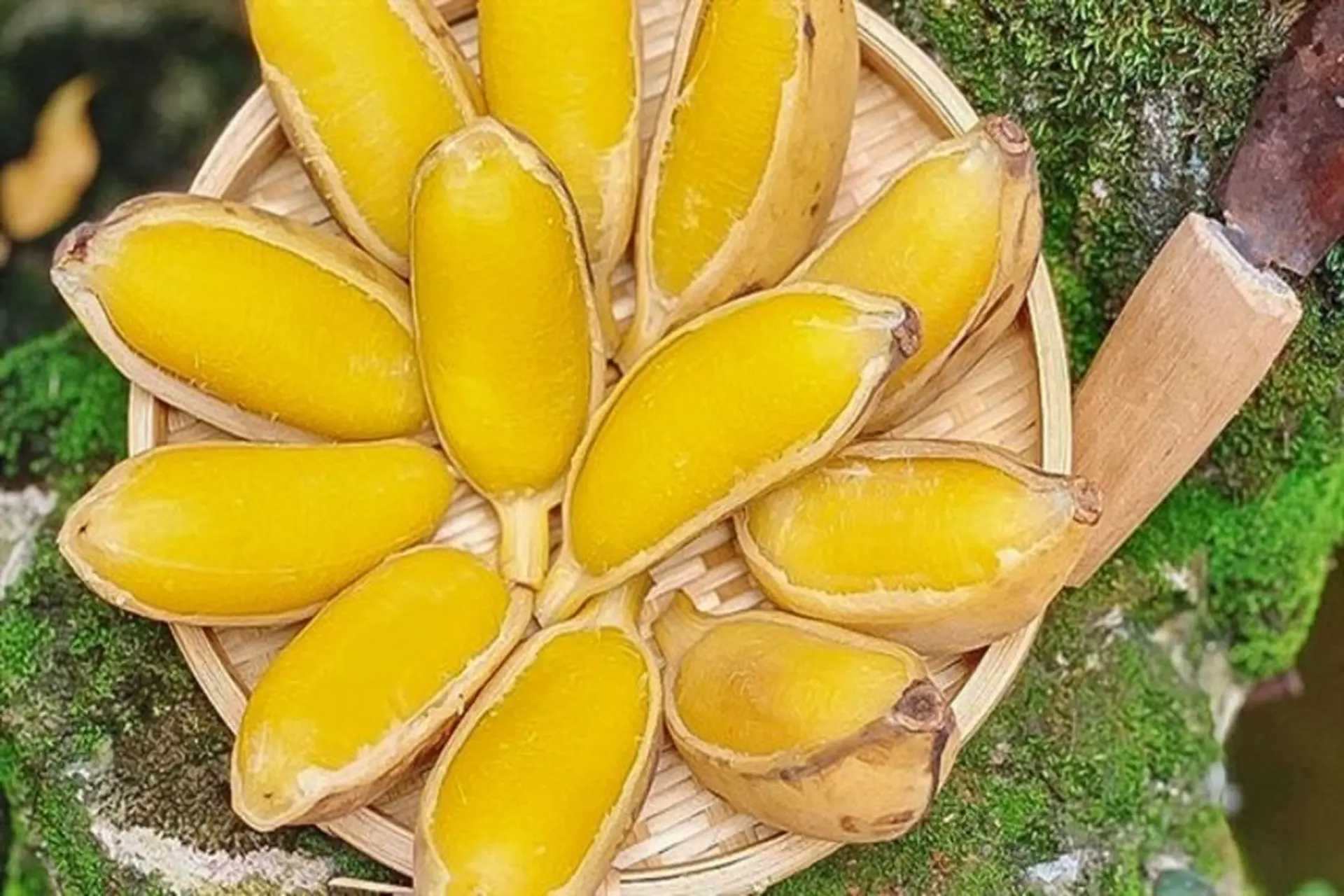 Nhà hào môn không thiếu sơn hào hải vị nhưng Hà Tăng Nhà hào môn không thiếu sơn hào hải vị nhưng Hà Tăng
