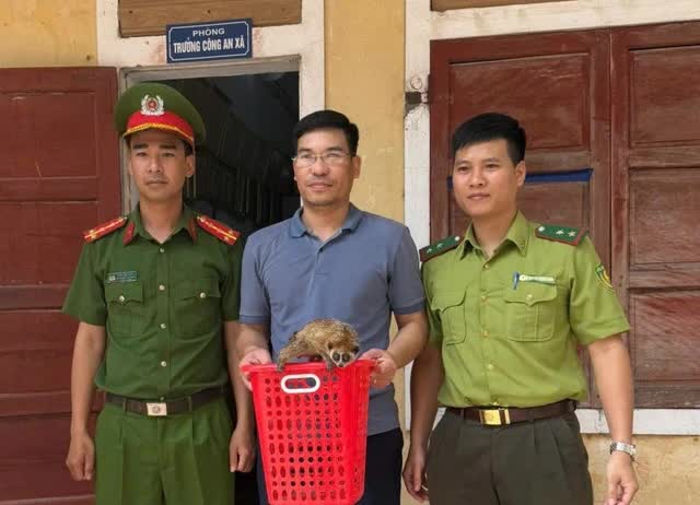 Loài thú có nguy cơ tuyệt chủng đi lạc vào vườn nhà ở Quảng Bình- Ảnh 1. Loài thú có nguy cơ tuyệt chủng đi lạc vào vườn nhà ở Quảng Bình- Ảnh 1.