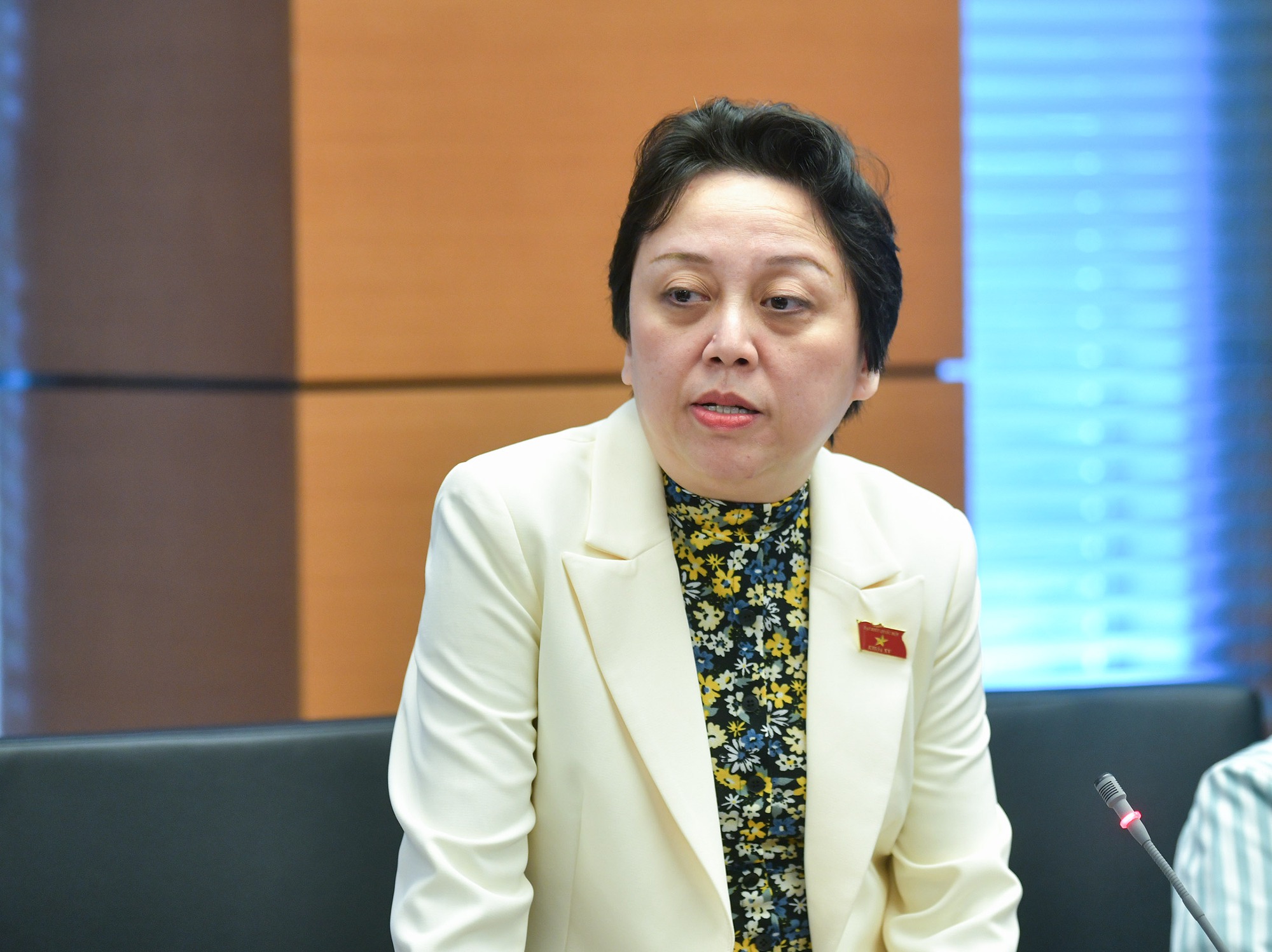 Bà Phạm Khánh Phong Lan: Báo chí vừa thông tin, đi kiểm tra đâu cũng nói "em hết lòng xe điếu"- Ảnh 1. Bà Phạm Khánh Phong Lan: Báo chí vừa thông tin, đi kiểm tra đâu cũng nói "em hết lòng xe điếu"- Ảnh 1.
