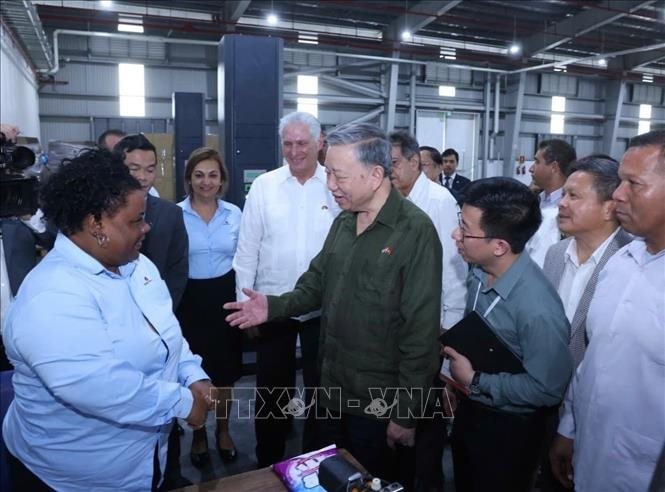 Hãng gạch nổi tiếng Việt Nam quyết làm một việc ở Cuba, hơn 6 năm sau đạt kết quả đáng ngưỡng mộ- Ảnh 3. Hãng gạch nổi tiếng Việt Nam quyết làm một việc ở Cuba, hơn 6 năm sau đạt kết quả đáng ngưỡng mộ- Ảnh 3.