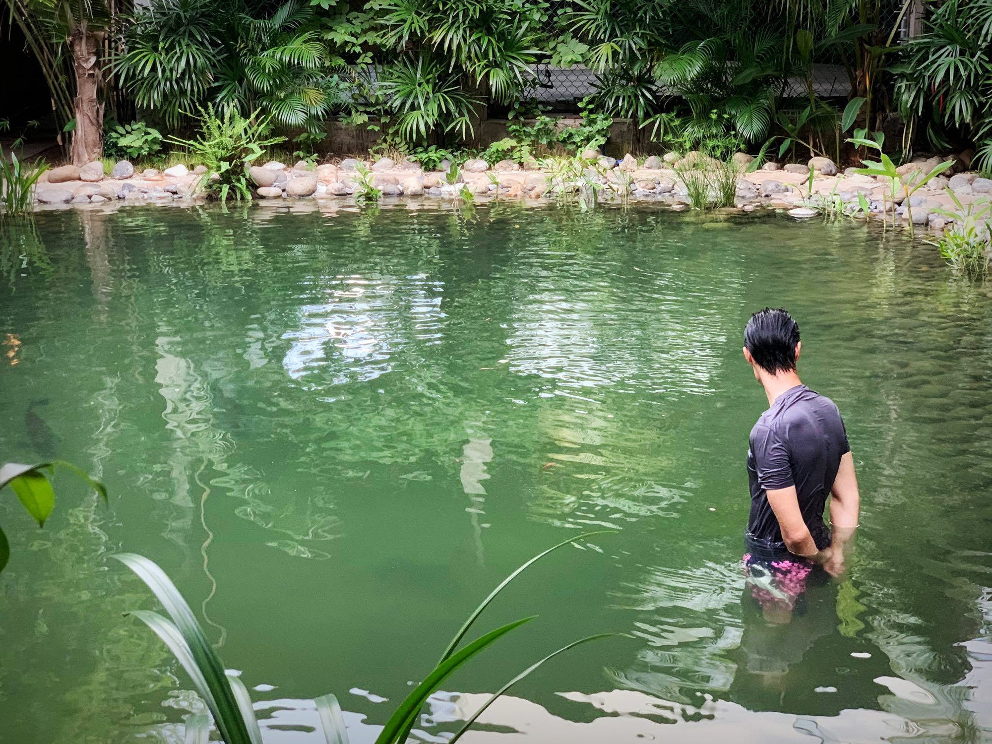 Nam nghệ sĩ sở hữu nhà 1.800m2 ở Nhà Bè, vừa ở, vừa làm võ đường, yêu 1 mỹ nhân Việt 10 năm không cưới- Ảnh 7. Nam nghệ sĩ sở hữu nhà 1.800m2 ở Nhà Bè, vừa ở, vừa làm võ đường, yêu 1 mỹ nhân Việt 10 năm không cưới- Ảnh 7.