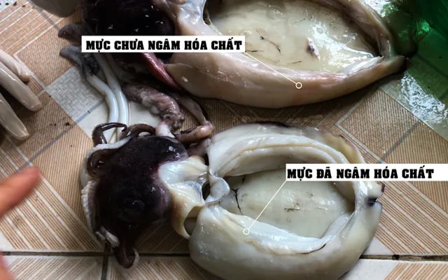 5 loại hải sản dễ 5 loại hải sản dễ