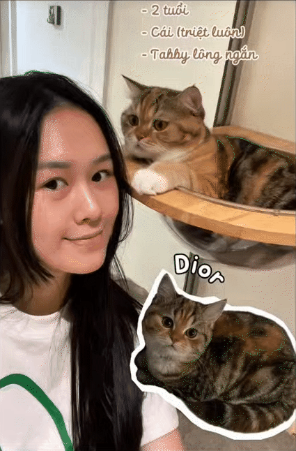 Ái nữ nhà quan trong "Thám tử Kiên": Nổi tiếng mê mèo, xây cả "villa" đầy đủ tiện nghi cho mèo- Ảnh 15. Ái nữ nhà quan trong "Thám tử Kiên": Nổi tiếng mê mèo, xây cả "villa" đầy đủ tiện nghi cho mèo- Ảnh 15.