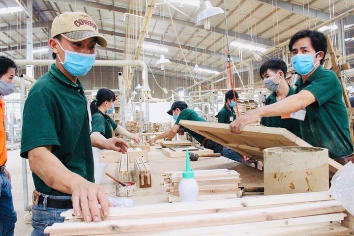 Chuyên gia hiến kế cho doanh nghiệp Việt bán hàng sang Mỹ- Ảnh 1. Chuyên gia hiến kế cho doanh nghiệp Việt bán hàng sang Mỹ- Ảnh 1.