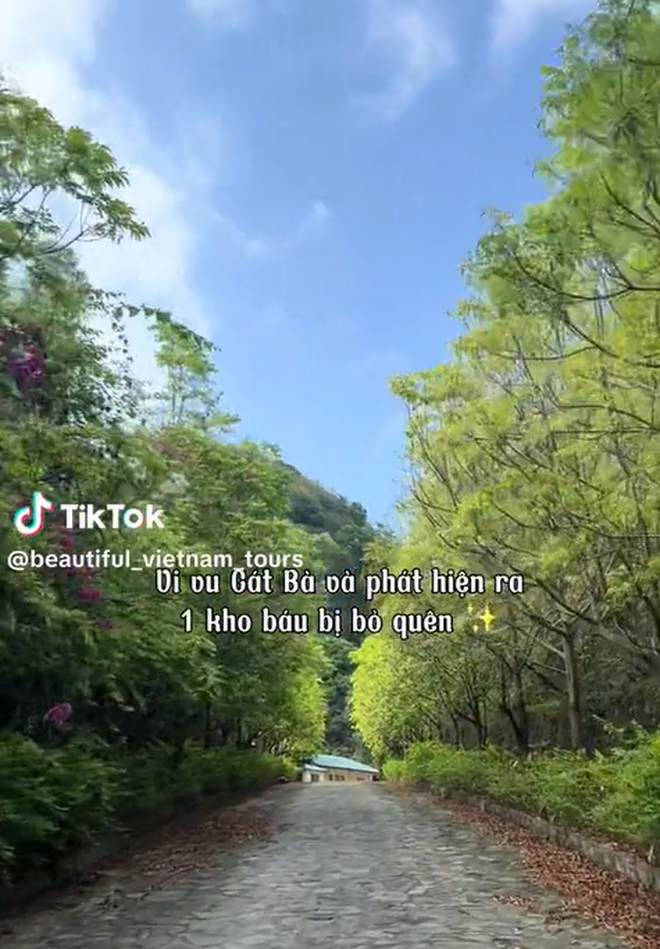 Bãi biển ở Cát Bà được mệnh danh là "thiên đường bí mật", nhiều người bất ngờ vì chưa từng nghe tên- Ảnh 2. Bãi biển ở Cát Bà được mệnh danh là "thiên đường bí mật", nhiều người bất ngờ vì chưa từng nghe tên- Ảnh 2.