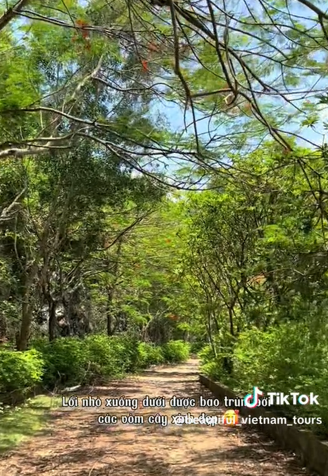 Bãi biển ở Cát Bà được mệnh danh là "thiên đường bí mật", nhiều người bất ngờ vì chưa từng nghe tên- Ảnh 3. Bãi biển ở Cát Bà được mệnh danh là "thiên đường bí mật", nhiều người bất ngờ vì chưa từng nghe tên- Ảnh 3.