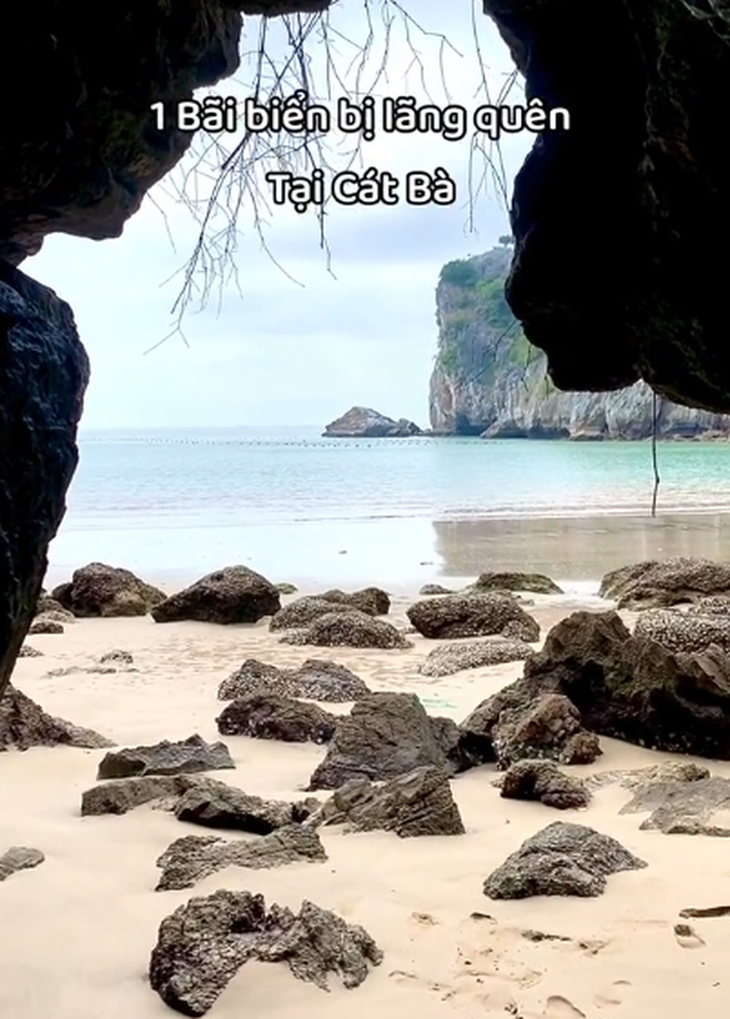 Bãi biển ở Cát Bà được mệnh danh là "thiên đường bí mật", nhiều người bất ngờ vì chưa từng nghe tên- Ảnh 5. Bãi biển ở Cát Bà được mệnh danh là "thiên đường bí mật", nhiều người bất ngờ vì chưa từng nghe tên- Ảnh 5.