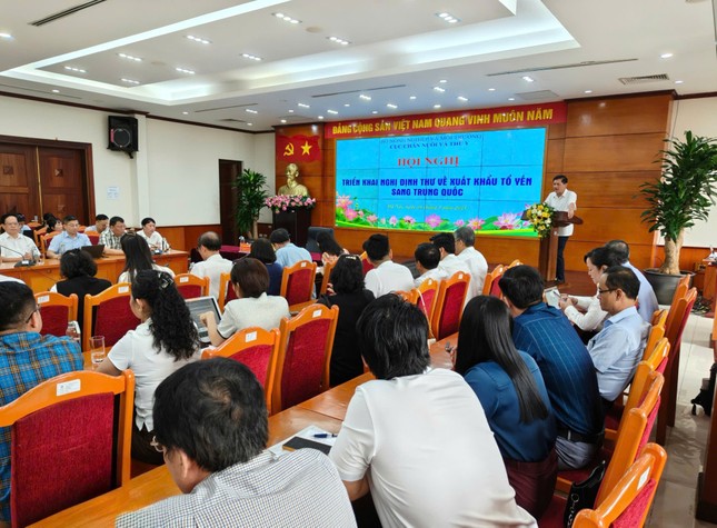 Lý do người Trung Quốc chưa biết nhiều về tổ yến Việt Nam- Ảnh 1. Lý do người Trung Quốc chưa biết nhiều về tổ yến Việt Nam- Ảnh 1.