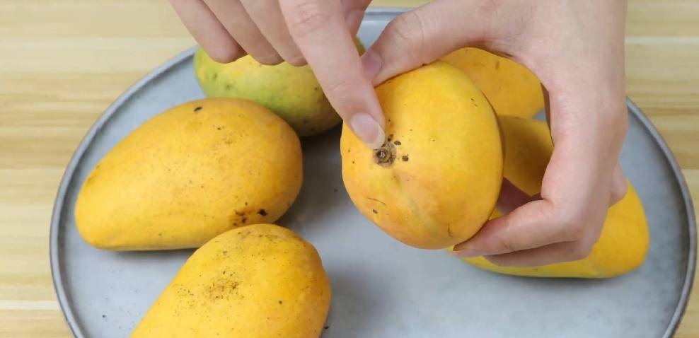 Dân buôn xoài có 4 mẹo chọn xoài chuẩn, chín ngọt tự nhiên, quả nào thịt cũng dày mà hạt siêu lép- Ảnh 2. Dân buôn xoài có 4 mẹo chọn xoài chuẩn, chín ngọt tự nhiên, quả nào thịt cũng dày mà hạt siêu lép- Ảnh 2.