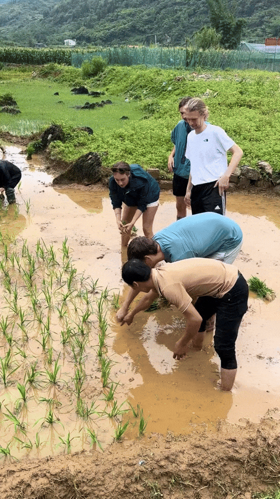Khách Tây không ngại khó, không ngại bẩn, thích thú với trải nghiệm nhiều người Việt cũng không biết làm- Ảnh 2. Khách Tây không ngại khó, không ngại bẩn, thích thú với trải nghiệm nhiều người Việt cũng không biết làm- Ảnh 2.