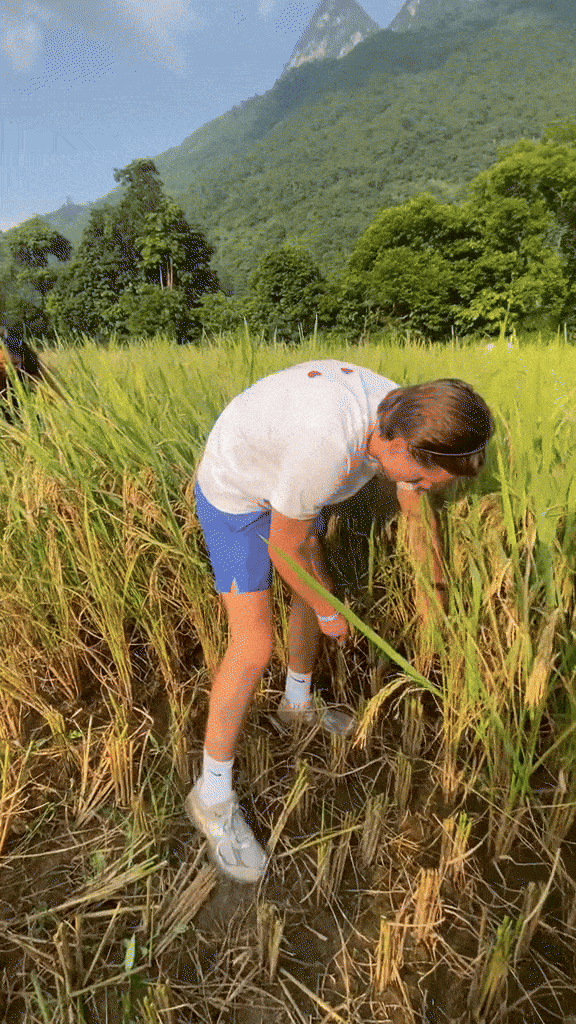 Khách Tây không ngại khó, không ngại bẩn, thích thú với trải nghiệm nhiều người Việt cũng không biết làm- Ảnh 3. Khách Tây không ngại khó, không ngại bẩn, thích thú với trải nghiệm nhiều người Việt cũng không biết làm- Ảnh 3.