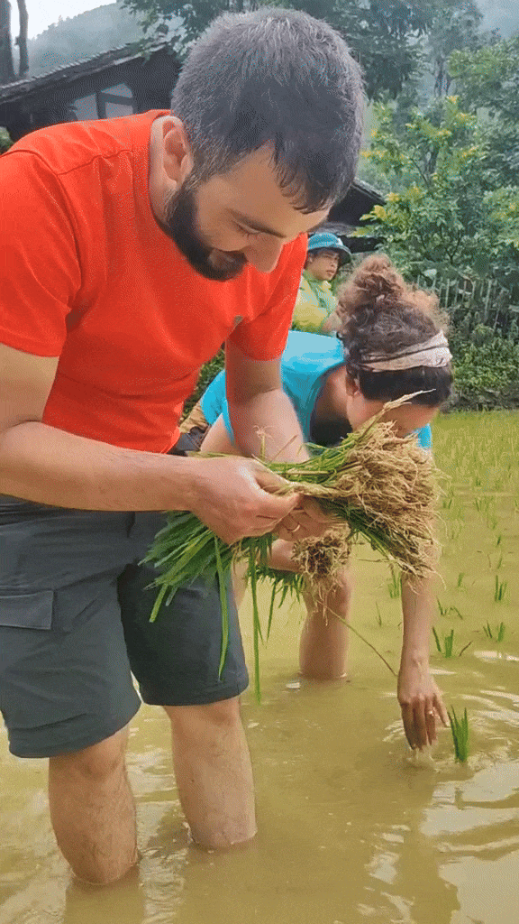 Khách Tây không ngại khó, không ngại bẩn, thích thú với trải nghiệm nhiều người Việt cũng không biết làm- Ảnh 1. Khách Tây không ngại khó, không ngại bẩn, thích thú với trải nghiệm nhiều người Việt cũng không biết làm- Ảnh 1.