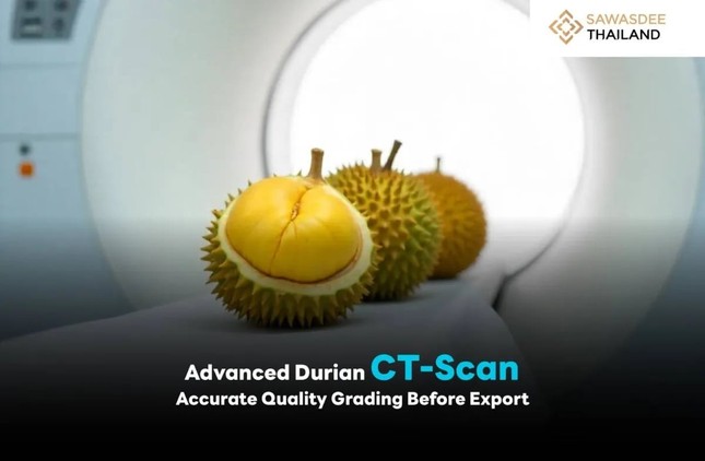 Việt Nam trong cuộc đua khốc liệt giành thị phần sầu riêng tại Trung Quốc- Ảnh 2.