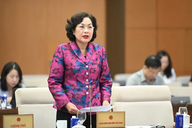 Thống đốc Nguyễn Thị Hồng: Cho vay đặc biệt lãi suất 0%/năm chỉ áp dụng với 2 trường hợp- Ảnh 1. Thống đốc Nguyễn Thị Hồng: Cho vay đặc biệt lãi suất 0%/năm chỉ áp dụng với 2 trường hợp- Ảnh 1.