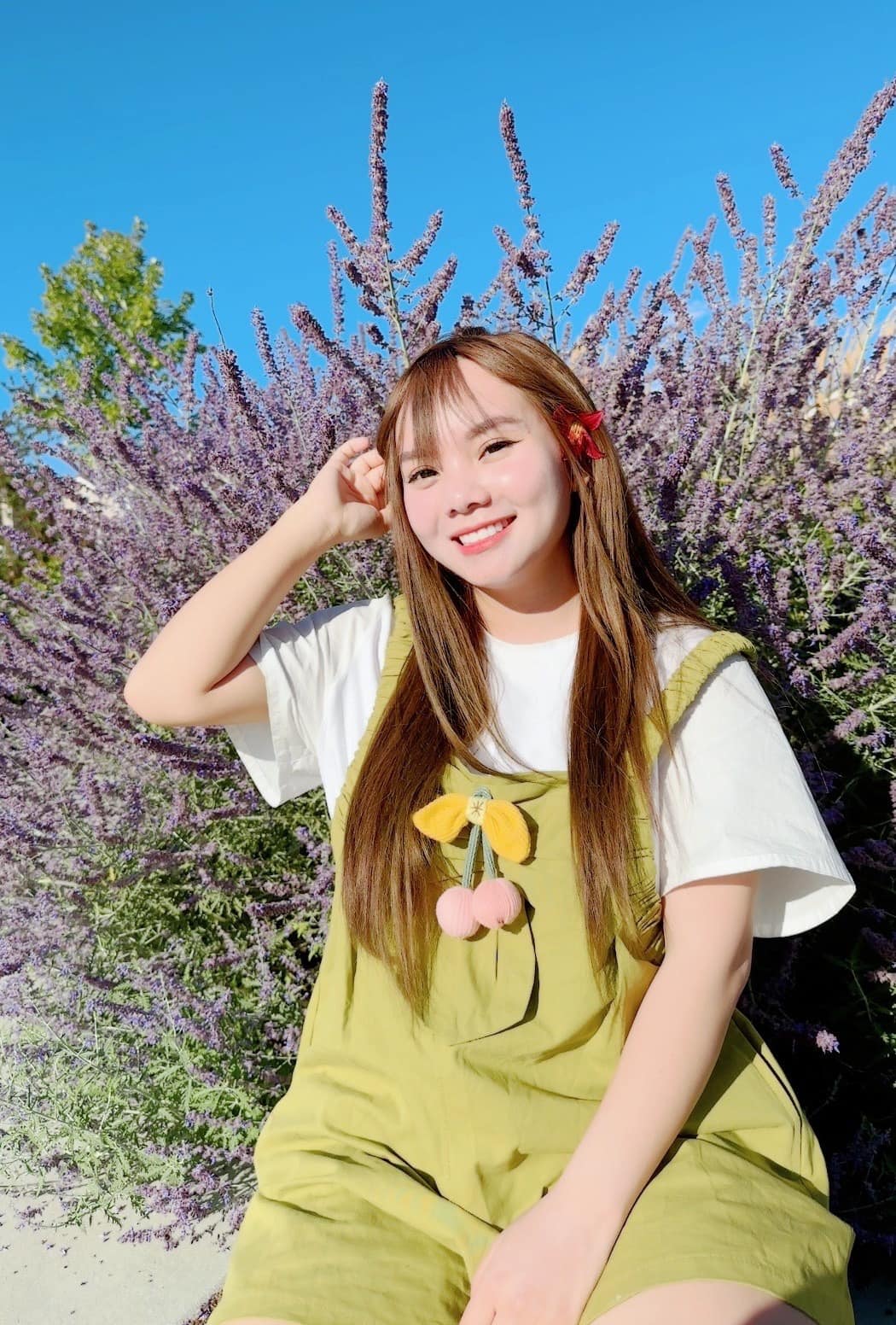 Những ai bị phát hiện âm thầm gỡ bỏ giỏ hàng, Những ai bị phát hiện âm thầm gỡ bỏ giỏ hàng,