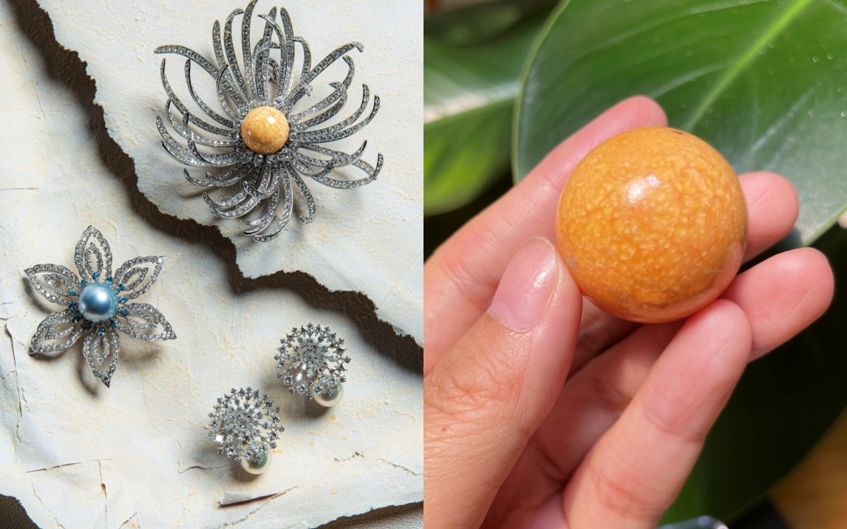 Hạt ngọc quý hiếm có ở Việt Nam: Đắt gấp nhiều lần ngọc trai, nhưng không phải ai cũng biết- Ảnh 1.